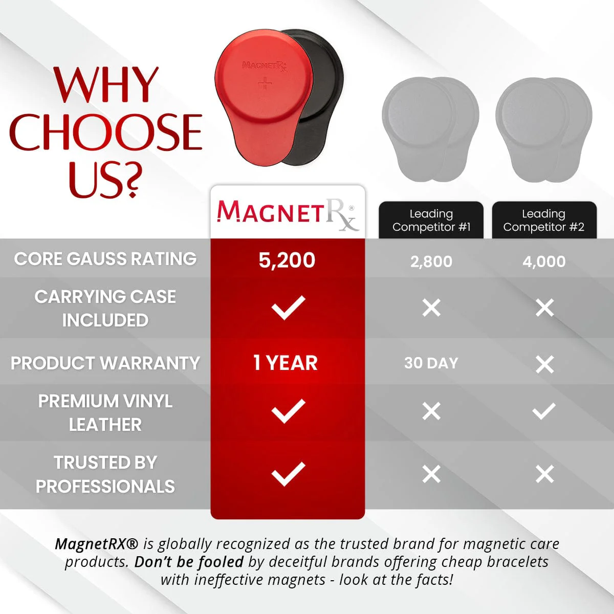 Biomagnetic Therapy Magnet Kit — Ferrite & Leather (6 Large Magnets) - Image 6